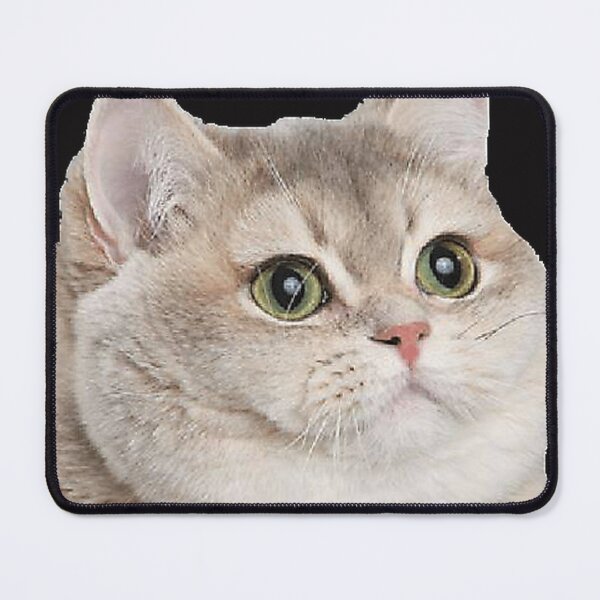 Item preview, Cat designed and sold by AyannaHoward8.