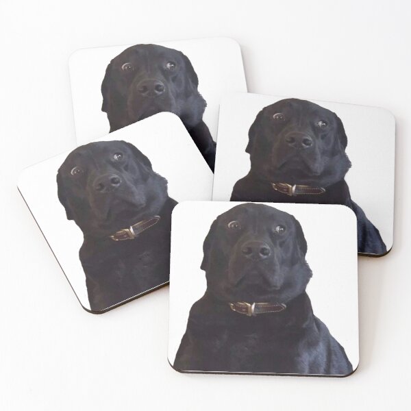 Item preview, Black Labrador Stare Doggo Meme designed and sold by AyannaHoward8.