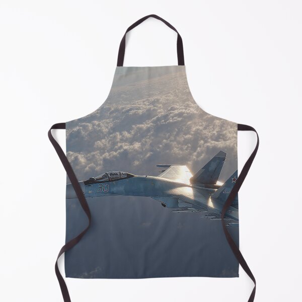 Item preview, Sukhoi Su-27 Over Open Sky designed and sold by Skyframe Aviation.