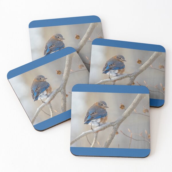 Item preview, Eastern Bluebird Over the Shoulder  designed and sold by Shannon Emmel .