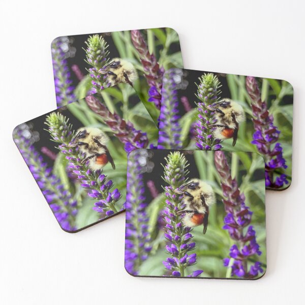 Item preview, Central Bumblebee with Flowering Speedwell Plant designed and sold by KTSubz Faith & Fun Designs.