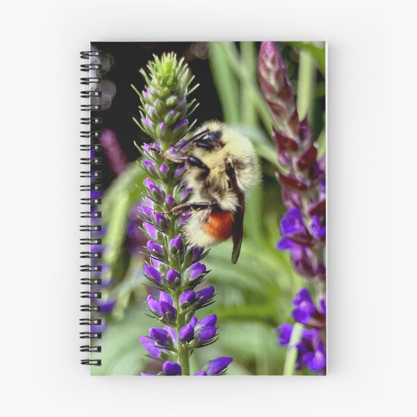 Artikelvorschau, Zentrale Hummel mit blühender Ehrenpreispflanze entworfen und verkauft von KTSubz Faith & Fun Designs.