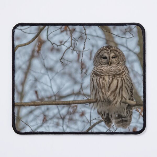 Item preview, Perched Barred Owl - Strix Varia designed and sold by Roxane Bay.