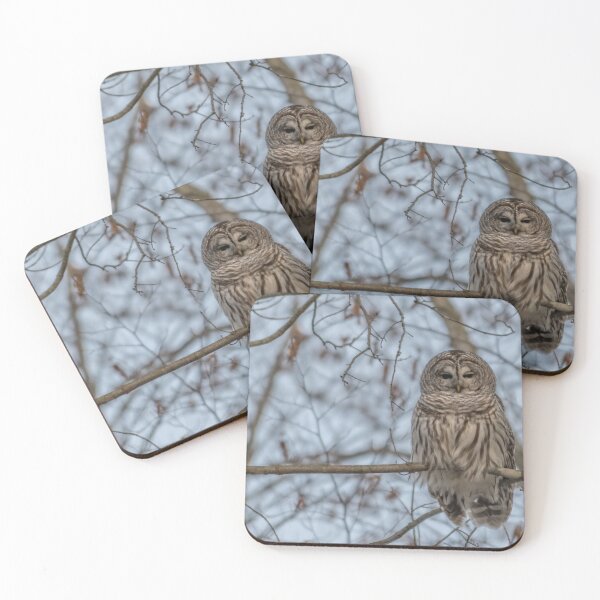 Item preview, Perched Barred Owl - Strix Varia designed and sold by Roxane Bay.