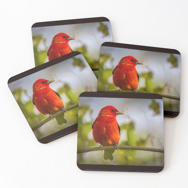 Item preview, Scarlet Tanager  Perched designed and sold by Shannon Emmel .