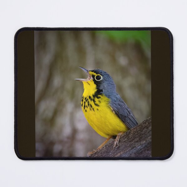 Item preview, Ohhh Canada Warbler Singing  designed and sold by Shannon Emmel .