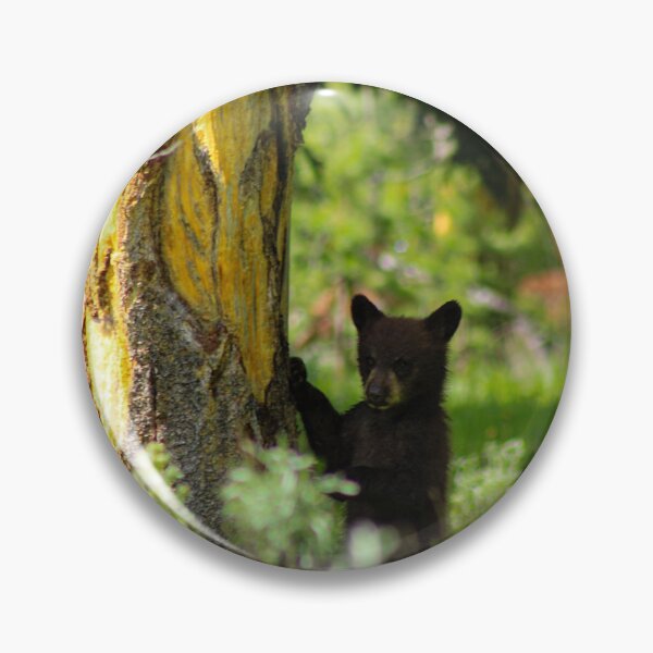 Item preview, Black Bear cub designed and sold by TheBearsEye.