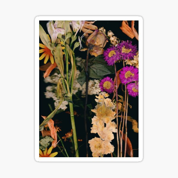 Pressed Flower Stickers  Indigo Bouquet - Antiquaria