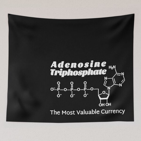 Item preview, Adenosine-Triphosphate-The-Most-Valuable-Currency designed and sold by PiotrSchrader.