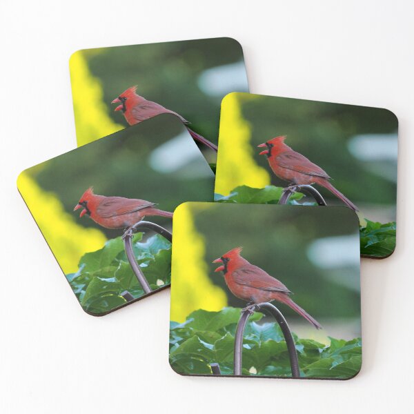 Item preview, Male Cardinal With Its Bill Wide Open designed and sold by BackyardBirder.