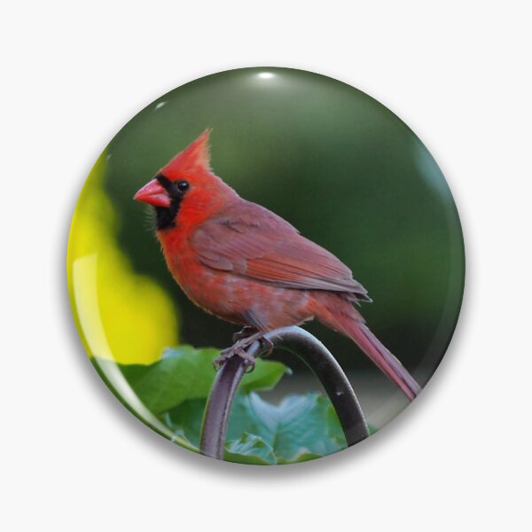 Item preview, Male Northern Cardinal On a Hook designed and sold by BackyardBirder.