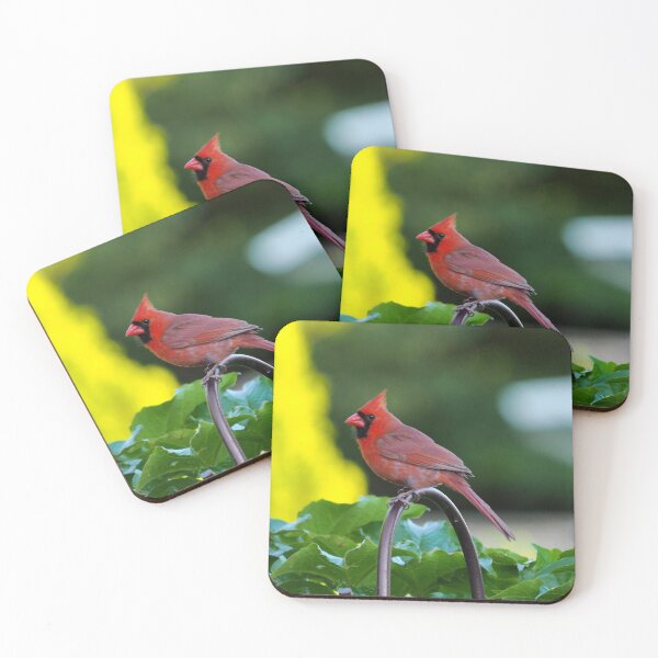 Item preview, Male Northern Cardinal On a Hook designed and sold by BackyardBirder.
