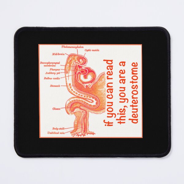 Item preview, Deuterostome designed and sold by RabDeniel.
