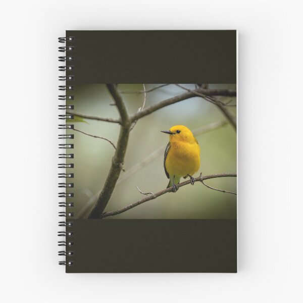 Item preview, Prothonotary Warbler  designed and sold by Shannon Emmel .