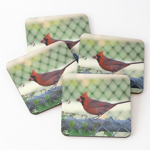 Item preview, Male Northern Cardinal With a Sunflower Seed In Its Bill designed and sold by BackyardBirder.