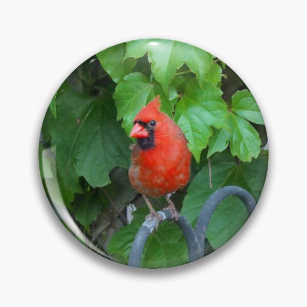 Item preview, Cardinal Perched On a Hook designed and sold by BackyardBirder.