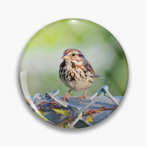 Item preview, Song Sparrow Perched On a Fence designed and sold by BackyardBirder.