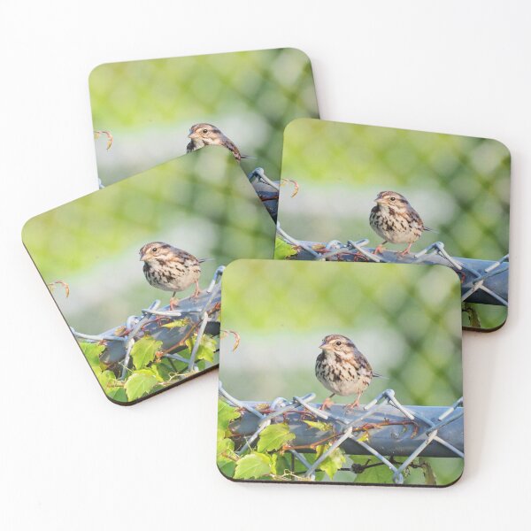 Item preview, Song Sparrow Perched On a Fence designed and sold by BackyardBirder.