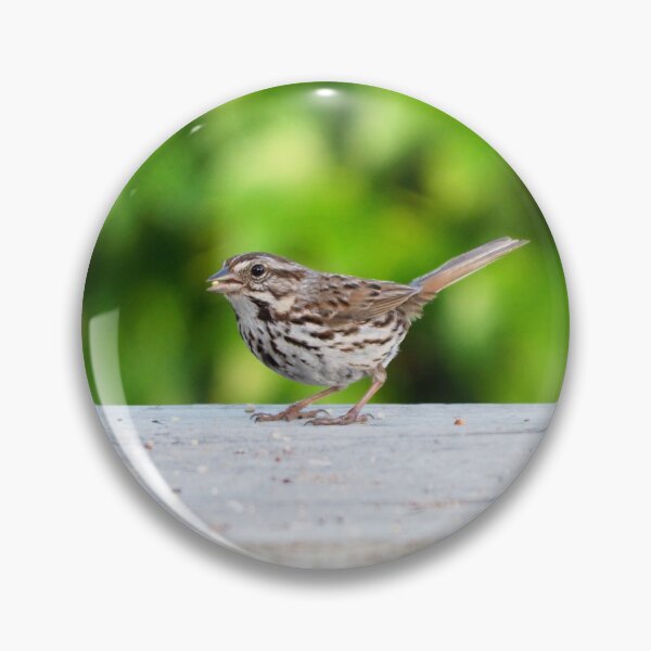 Item preview, Song Sparrow On My Backyard Platform Bird Feeder designed and sold by BackyardBirder.