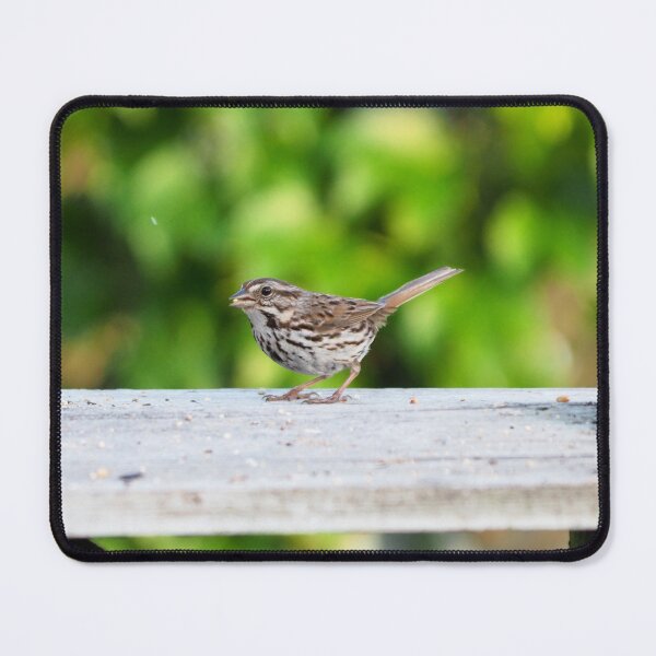Item preview, Song Sparrow On My Backyard Platform Bird Feeder designed and sold by BackyardBirder.