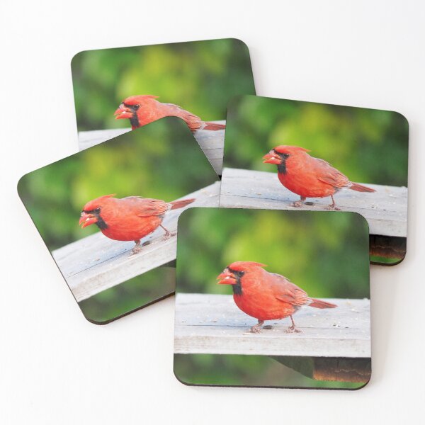 Item preview, Hungry Northern Cardinal Searching For Food. designed and sold by BackyardBirder.