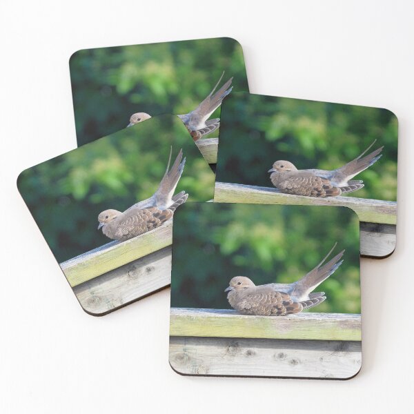 Item preview, Resting Doves On My Deck designed and sold by BackyardBirder.