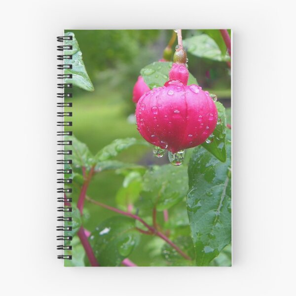 Item preview, Fuschia with Raindrops (2) designed and sold by MaryinMaine.