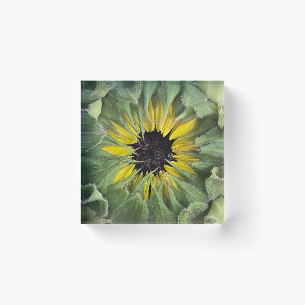 Item preview, The Sun's Opening Eye designed and sold by AlNovie.