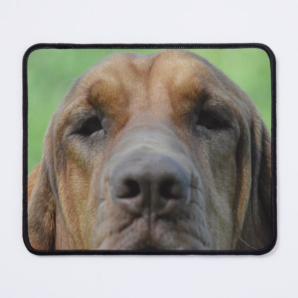 Item preview, The Face of a Hound designed and sold by Shyenne Moran.