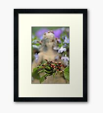 Ladybug Dreams Framed Print