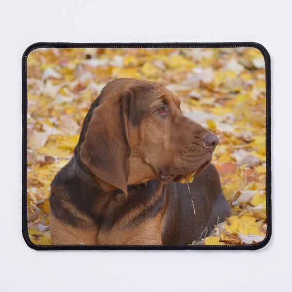 Item preview, The Cutest Sight Ever designed and sold by Shyenne Moran.