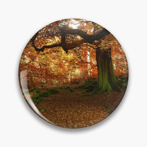 Item preview, Autumn at Padley Gorge designed and sold by Alisonchambers2.