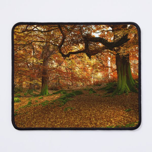 Item preview, Autumn at Padley Gorge designed and sold by Alisonchambers2.