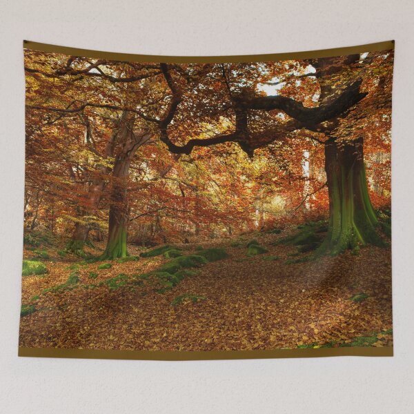 Artikelvorschau, Herbst in der Padley Gorge entworfen und verkauft von Alisonchambers2.