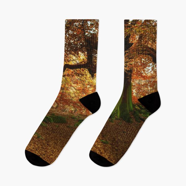 Item preview, Autumn at Padley Gorge designed and sold by Alisonchambers2.