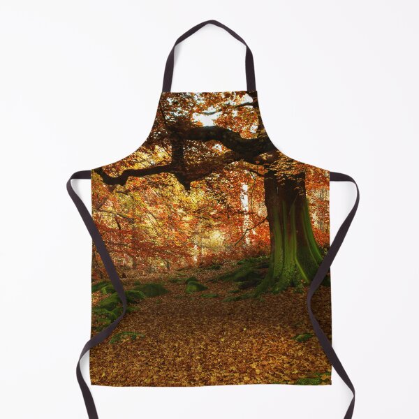 Item preview, Autumn at Padley Gorge designed and sold by Alisonchambers2.