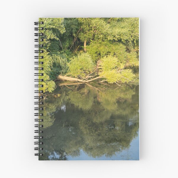 Item preview, Forested Riverbank Reflections Tranquility designed and sold by Georgia Mizuleva.