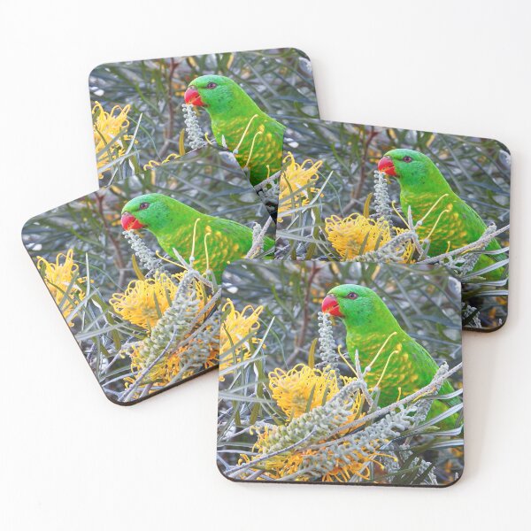 Item preview, Scaly-breasted Lorikeet in grevillea designed and sold by Mark Grimsley.