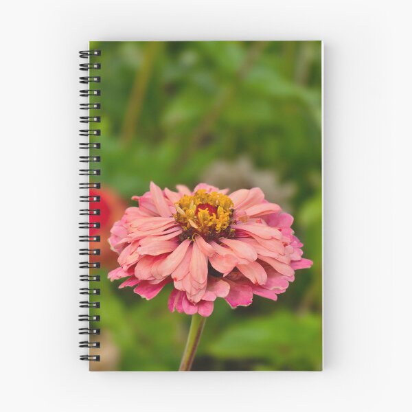 Item preview, Copy of Pink Zinnia Flower designed and sold by Robertsdesigns133.