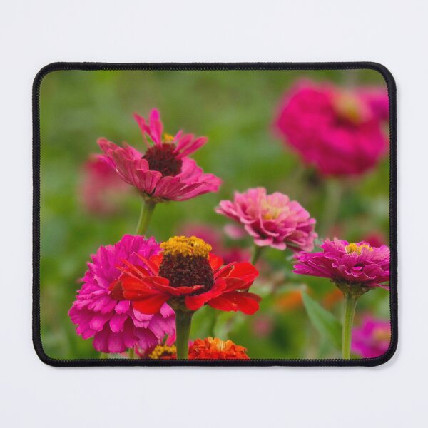 Item preview, Copy of Pink Zinnia Flowers designed and sold by Robertsdesigns133.