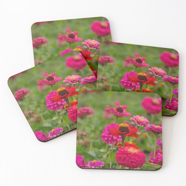 Artikelvorschau, Kopie von Rosa Zinnienblüten entworfen und verkauft von Robertsdesigns133.