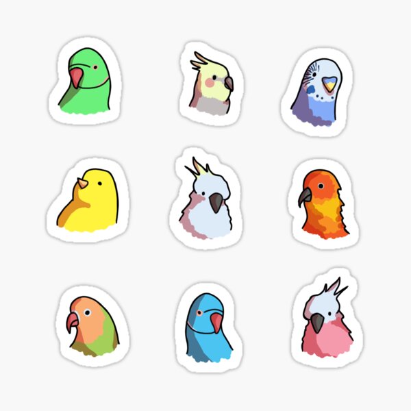 Bird Pattern Sticker