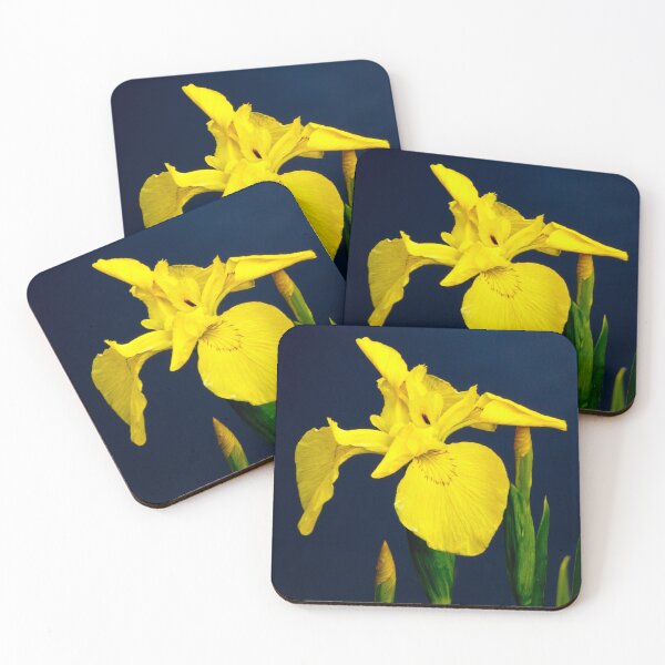 Item preview, YELLOW IRIS designed and sold by Elaine Bawden.