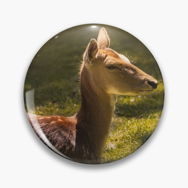 Item preview, Cierva descansando en el bosque a la luz del sol designed and sold by RastislavS.