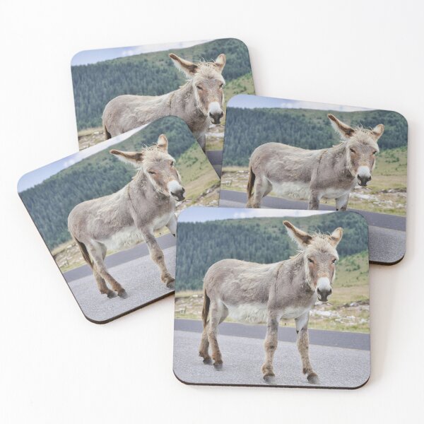 Item preview, Donkey Portrait on Transalpina Romania designed and sold by RastislavS.
