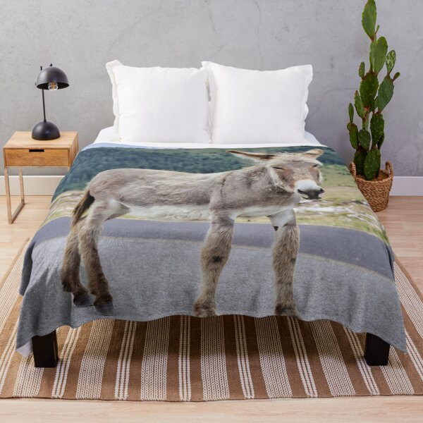 Item preview, Donkey Portrait on Transalpina Romania designed and sold by RastislavS.