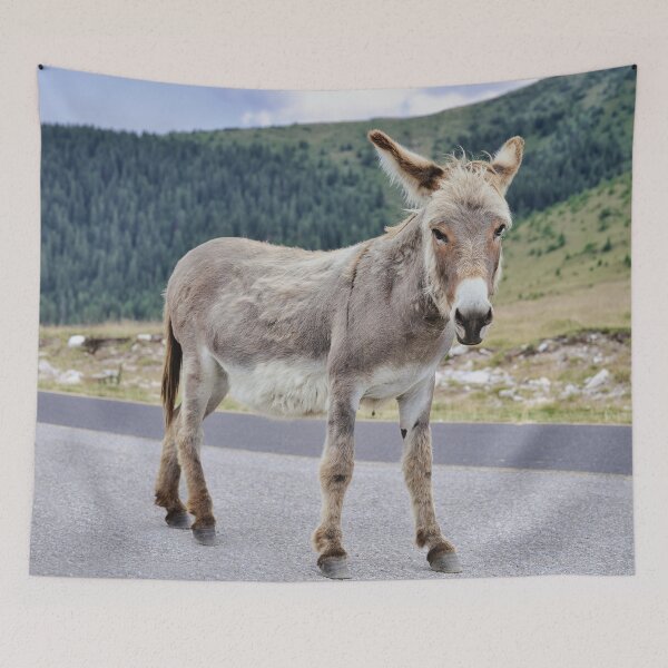 Item preview, Donkey Portrait on Transalpina Romania designed and sold by RastislavS.