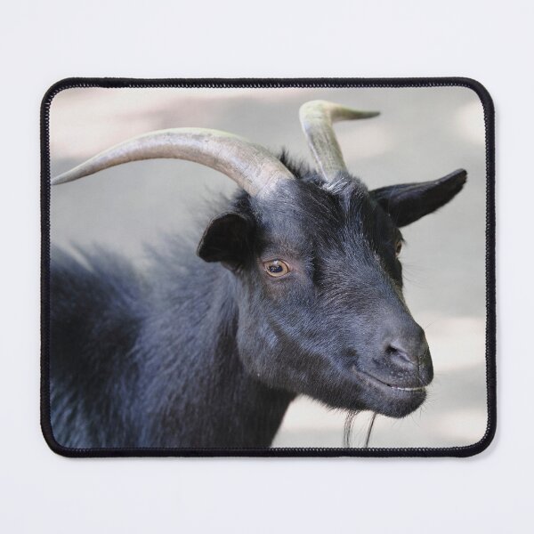 Item preview, Black Goat Smiling Portrait with Horns designed and sold by RastislavS.