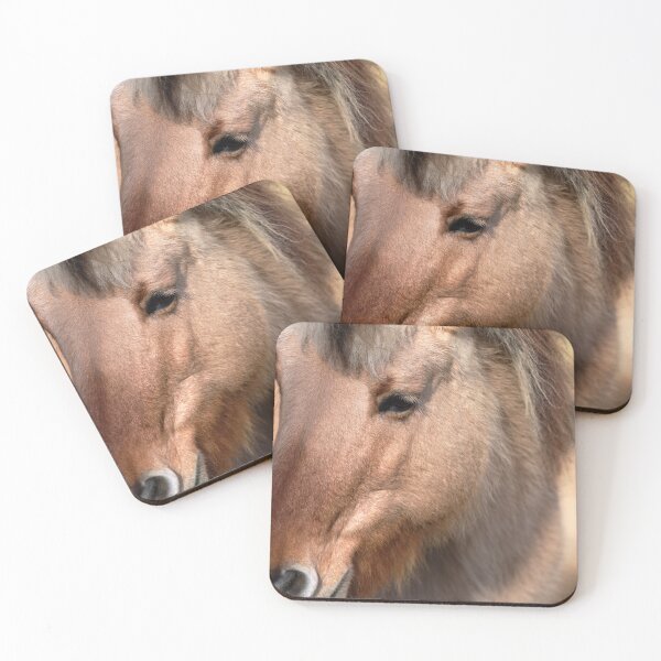 Item preview, Close-Up Horse Portrait in Warm Light designed and sold by RastislavS.