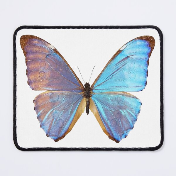 Item preview, blue iridescent butterfly sticker  designed and sold by inainart.